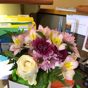 Meet your Posher, Miriam